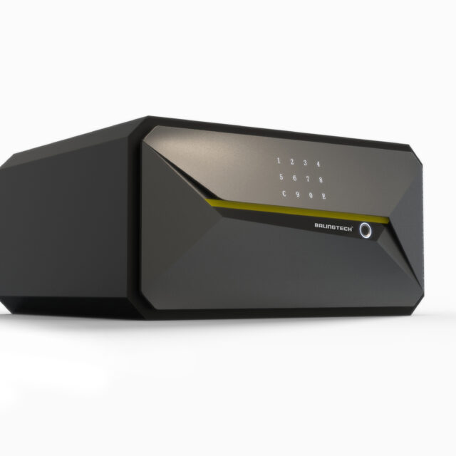 Caja fuerte WiFi Long 1